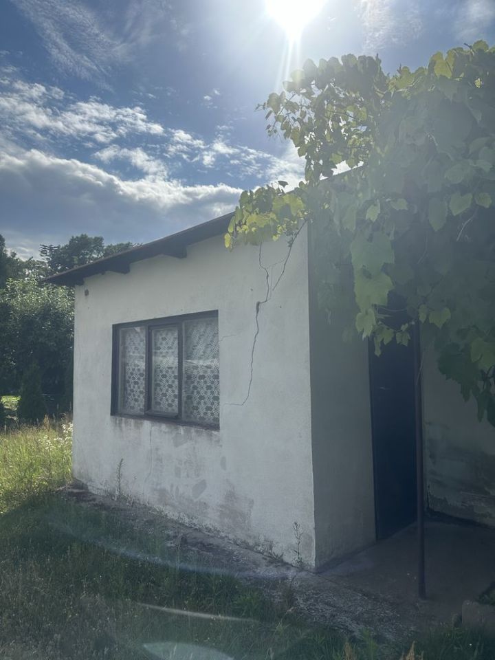 Działka rod Powodowo. Zdjęcie 6