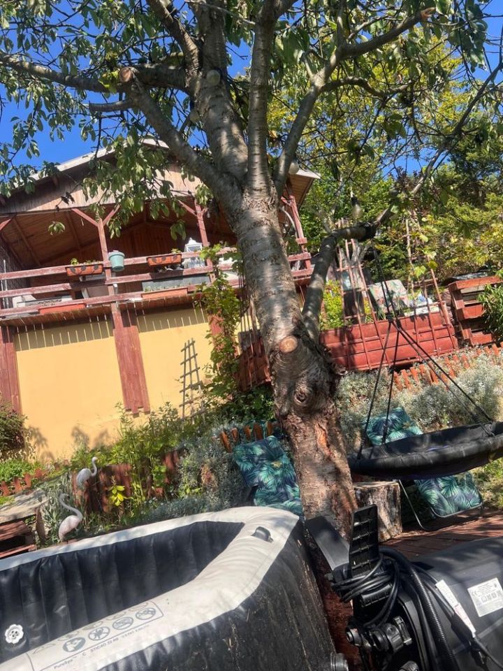 Działka rod Iława. Zdjęcie 5