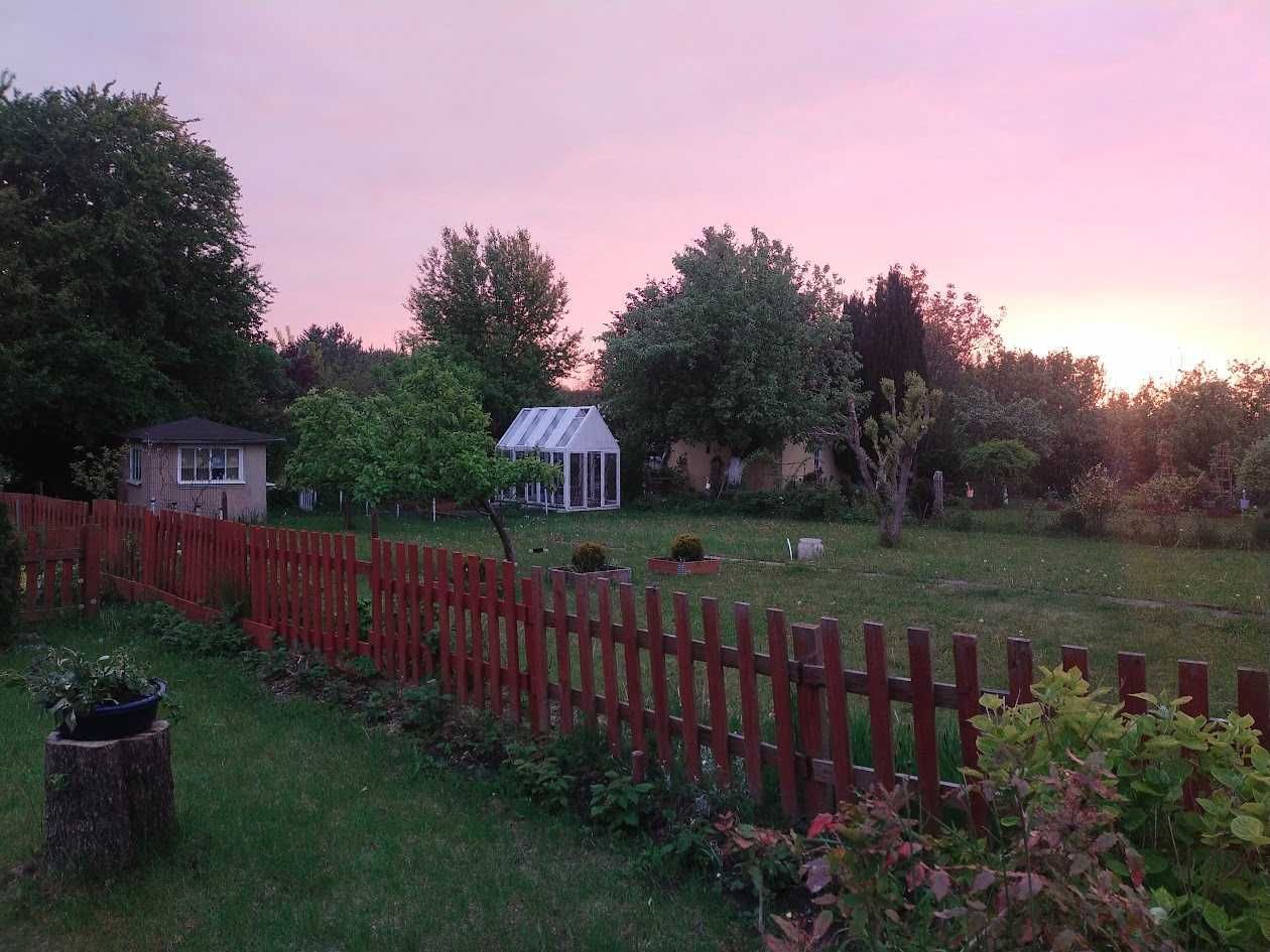 Działka rod Tczew. Zdjęcie 4