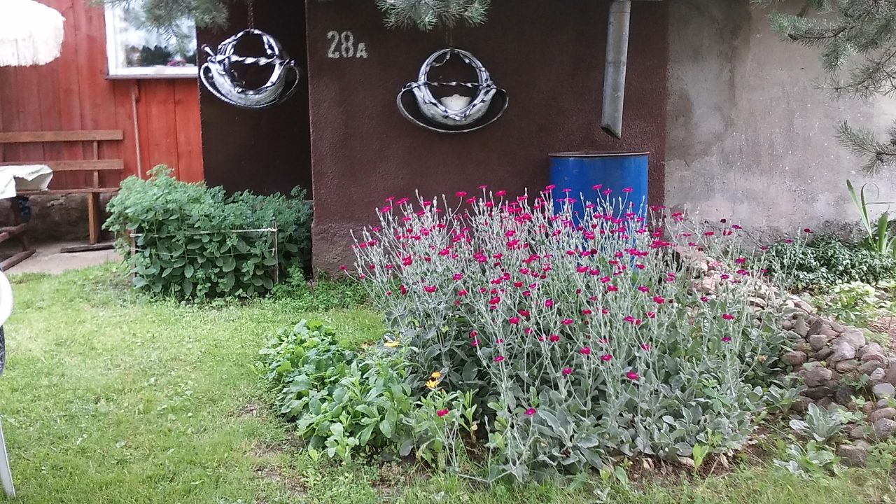 Działka inna Wólka, Wólka. Zdjęcie 16