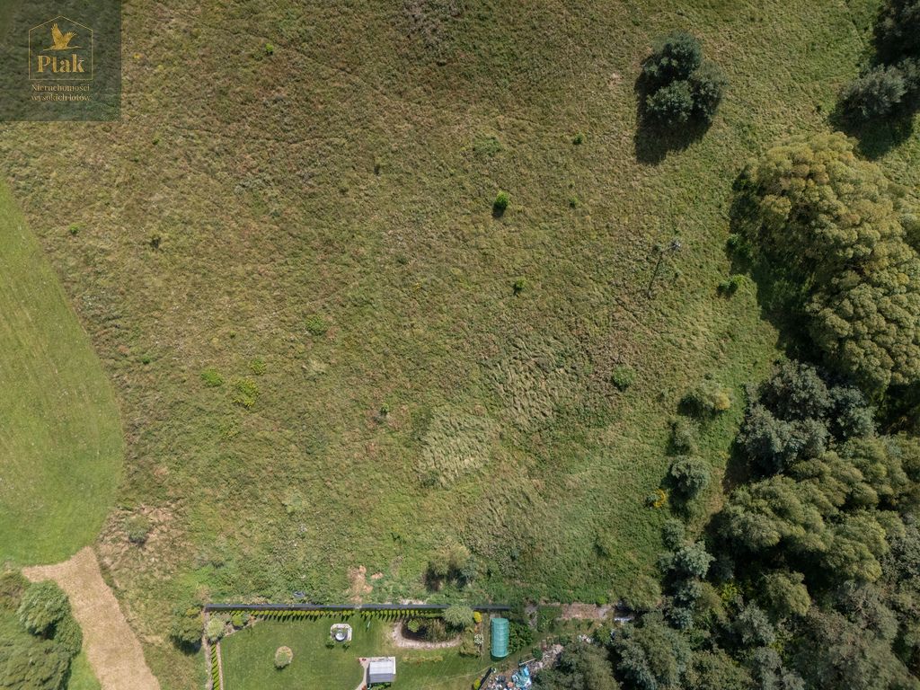 Działka rolna Obrzycko. Zdjęcie 8