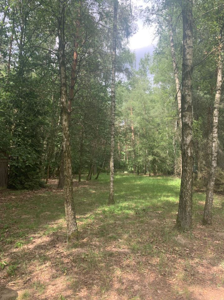 Działka budowlana Apolonia, ul. Akacjowa. Zdjęcie 8