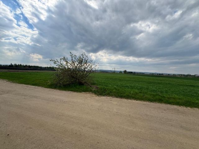 Działka inwestycyjna Dębogórze-Wybudowanie. Zdjęcie 1
