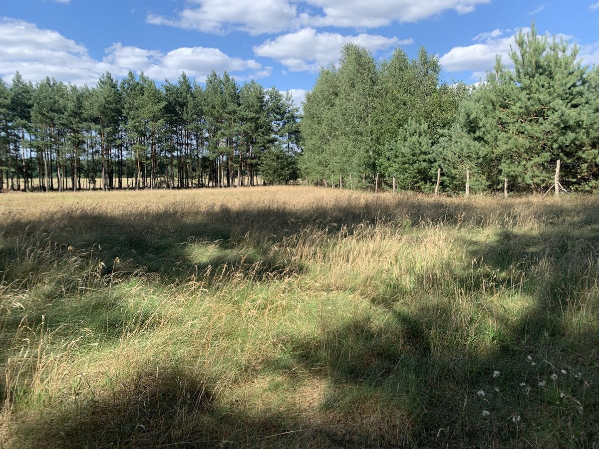 Działka siedliskowa Komorówko. Zdjęcie 4