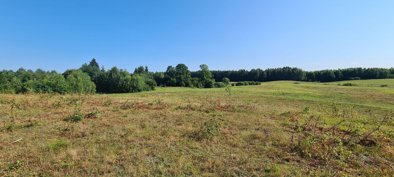 Działka rolno-budowlana Bobrownik. Zdjęcie 2