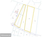 Działka leśna Makówiec Duży. Zdjęcie 2