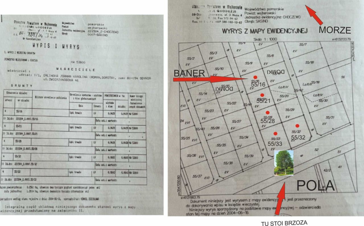 Działka rekreacyjna Sasino. Zdjęcie 3