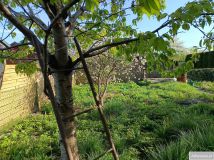 Działka rod Gdańsk. Zdjęcie 1