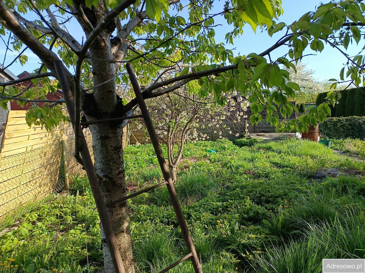 Działka rod Gdańsk. Zdjęcie 2