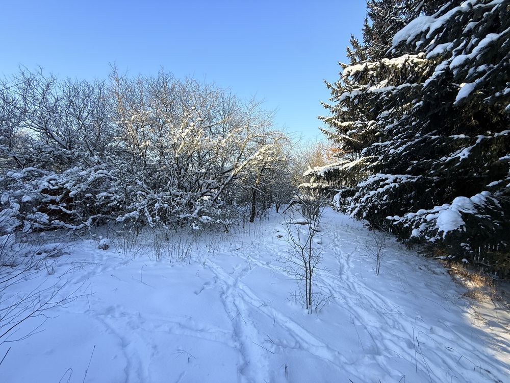 siedlisko Podnowinka. Zdjęcie 7