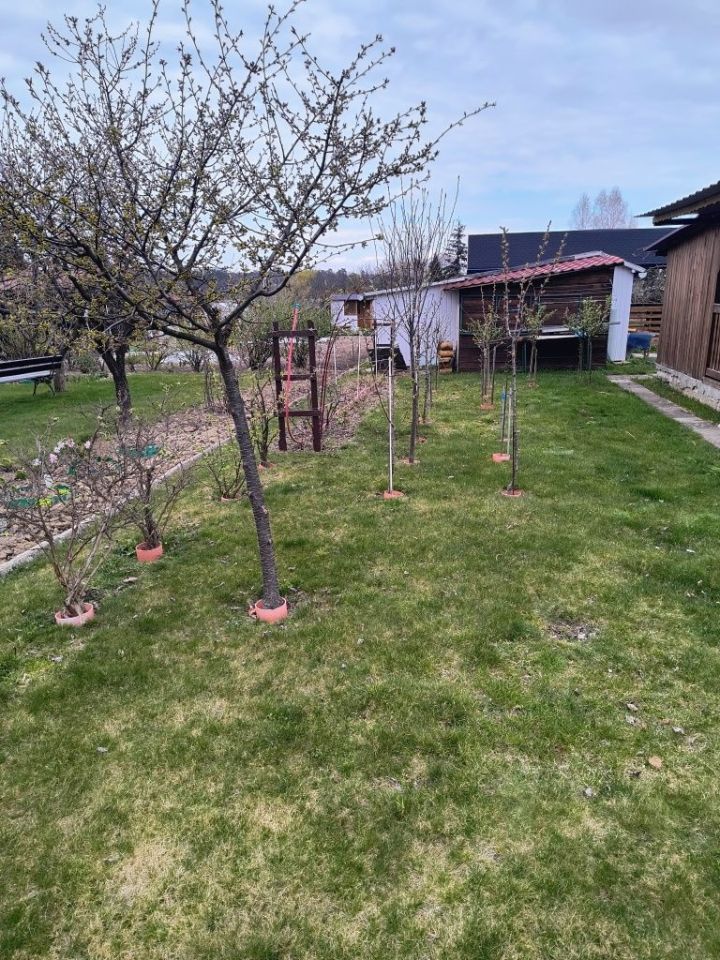 Działka rod Świdnik. Zdjęcie 3