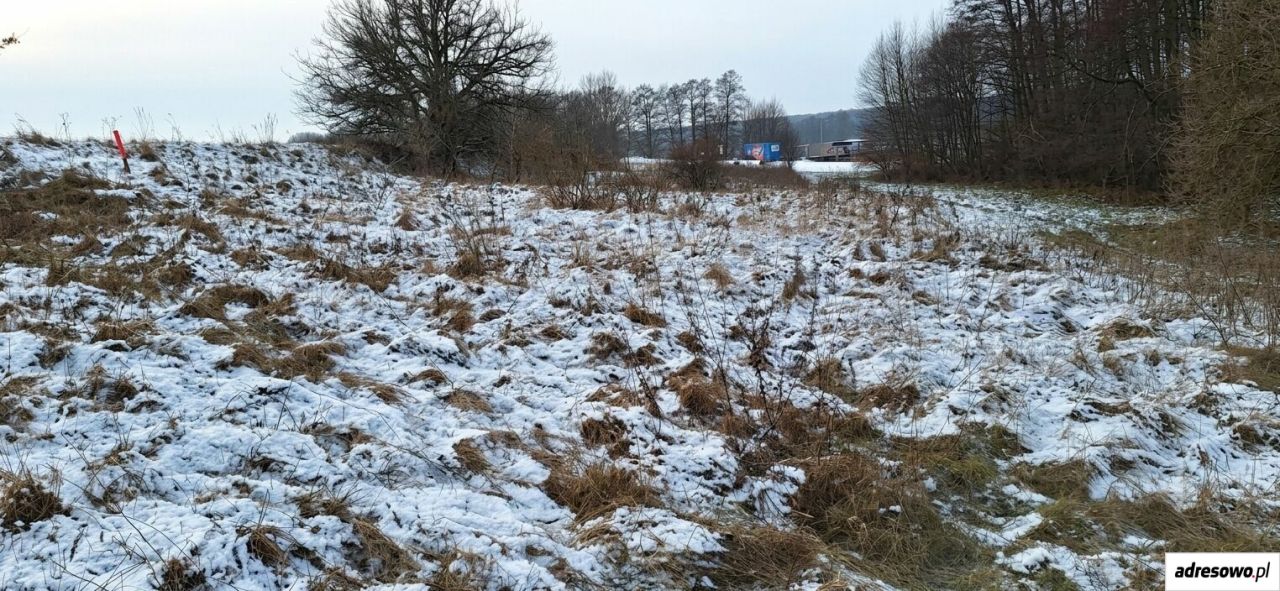Działka rolna Margonin. Zdjęcie 7