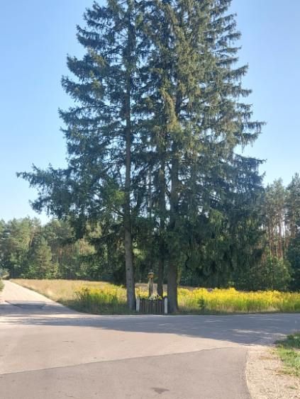 Działka budowlana Modecin. Zdjęcie 2