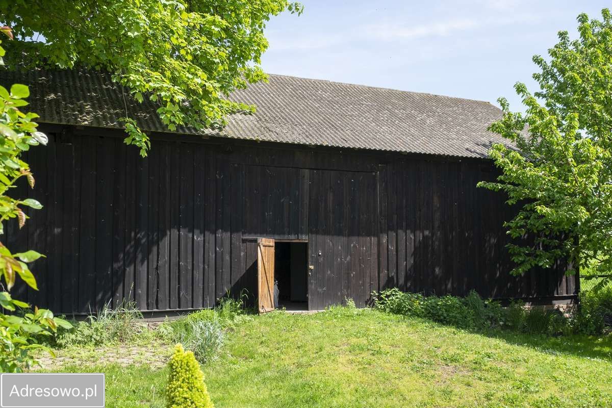 siedlisko, 3 pokoje Boleszyn Boleszyn-Kolonie. Zdjęcie 4
