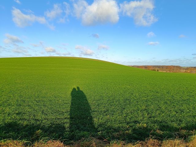 Działka rolna Skrzypki. Zdjęcie 1