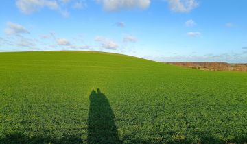 Działka rolna Skrzypki