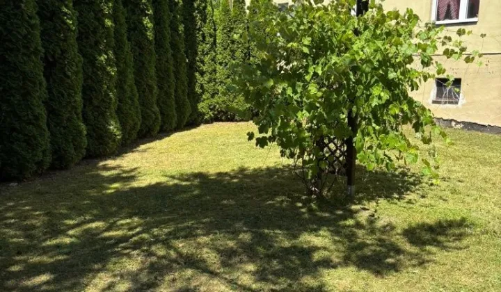 Mieszkanie 2-pokojowe Raciechowice