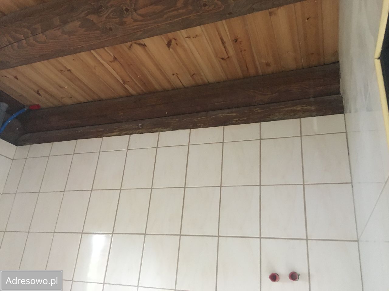 Działka rod Kołobrzeg, ul. Janiska. Zdjęcie 6