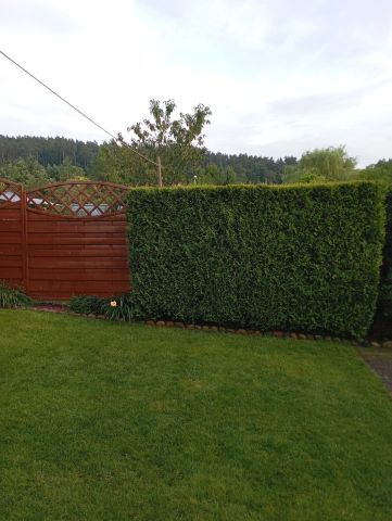 Działka rod Wejherowo Centrum, ul. mjr. Henryka Sucharskiego. Zdjęcie 14