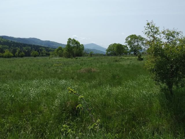 Działka budowlana Hucisko Chaśnikówka. Zdjęcie 3