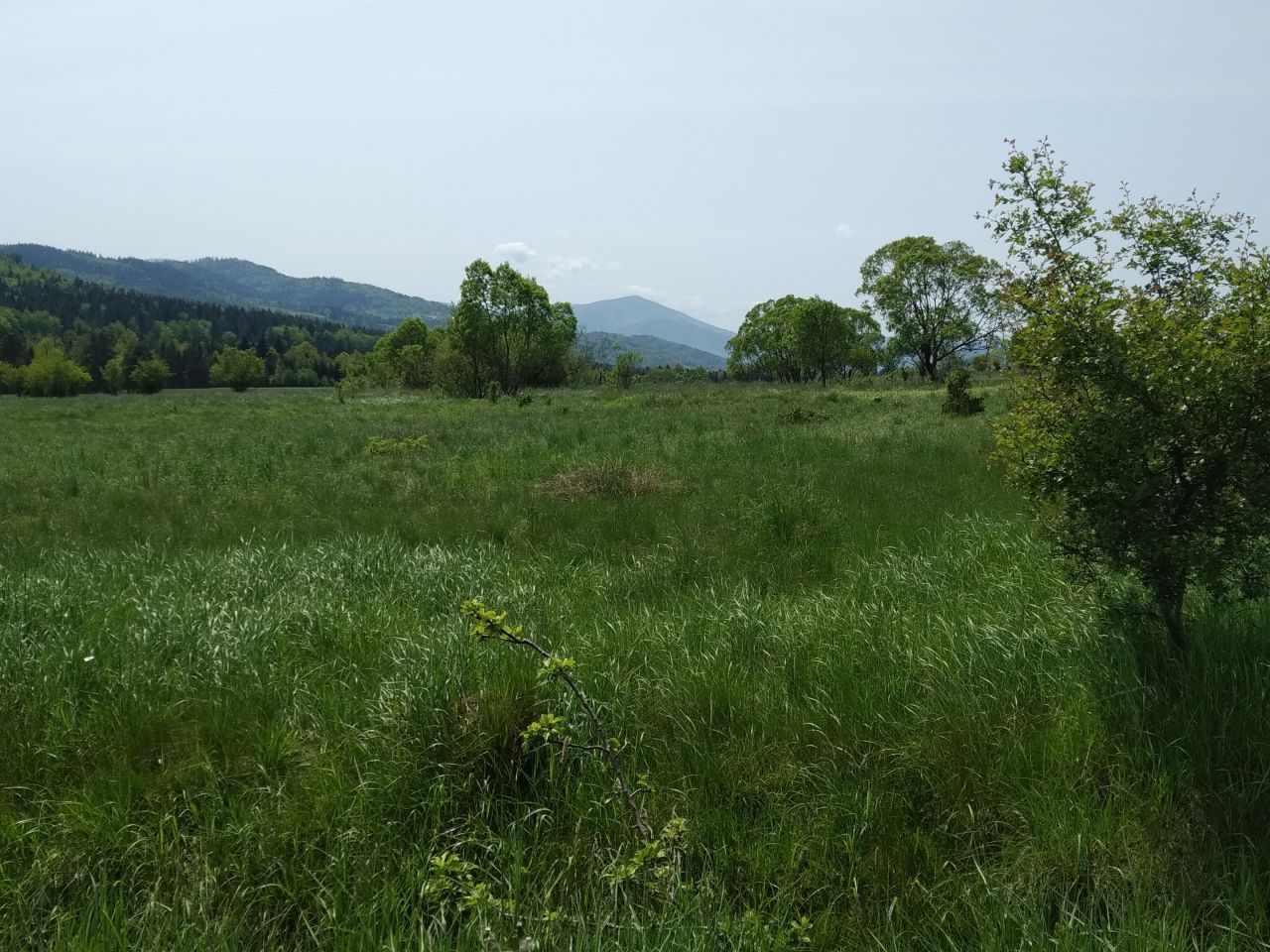 Działka budowlana Hucisko Chaśnikówka. Zdjęcie 3