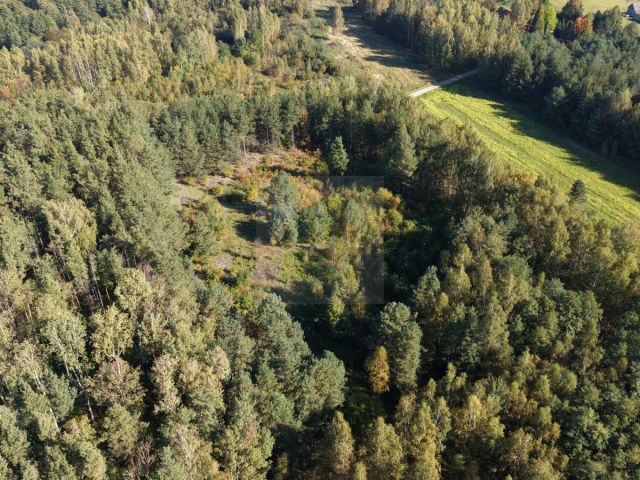 Działka budowlana Piotrkowice. Zdjęcie 12