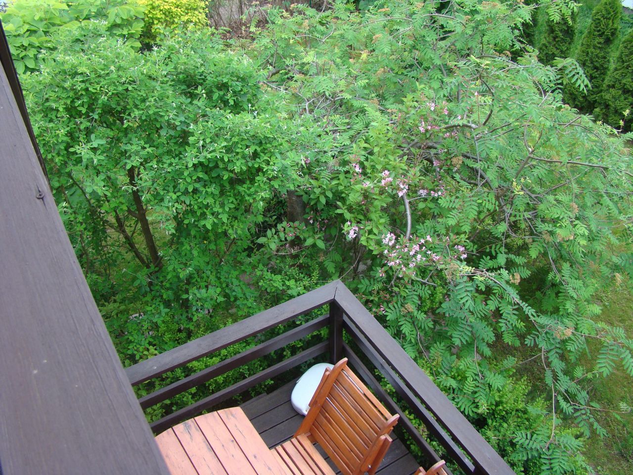 Działka rekreacyjna Czarne Małe. Zdjęcie 34