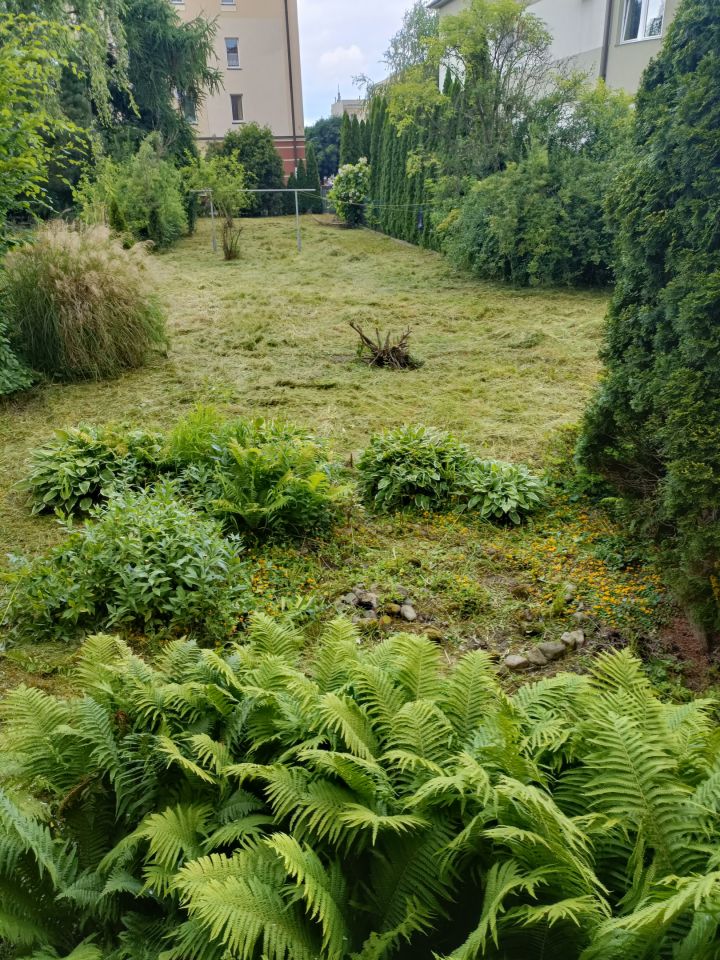 dom wolnostojący, 4 pokoje Jasło, ul. Fryderyka Chopina. Zdjęcie 5