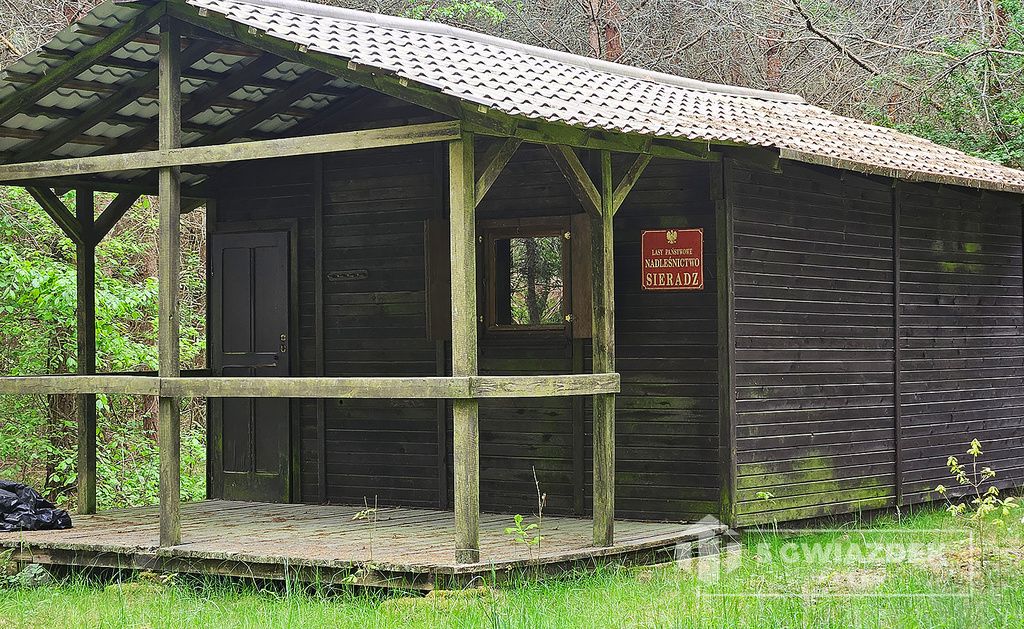 Działka siedliskowa Czochryń. Zdjęcie 13