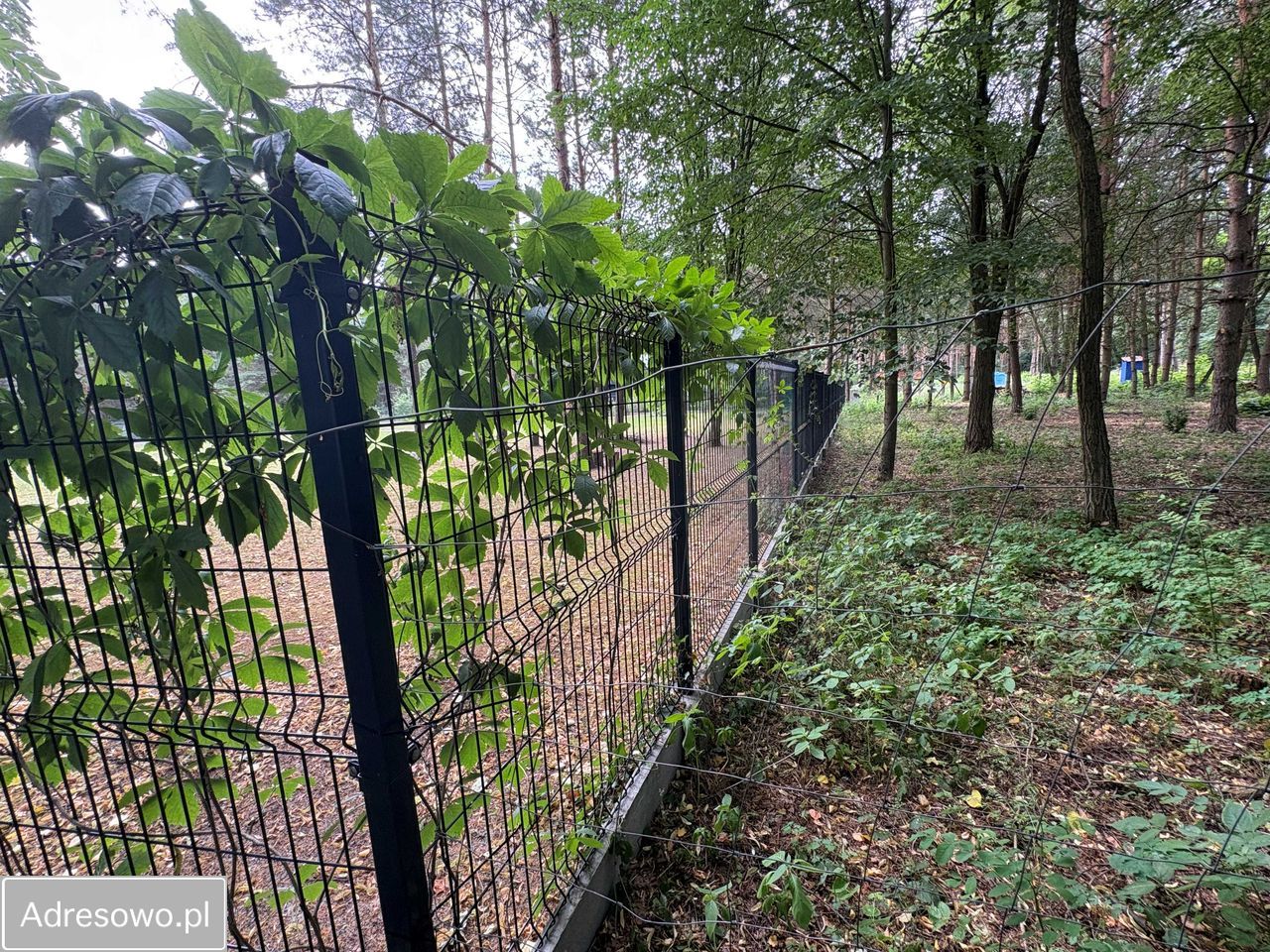 Działka budowlana Wężyk. Zdjęcie 11