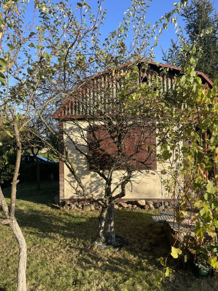 Działka rod Żary. Zdjęcie 6