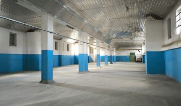 Hala/magazyn Duchnów, ul. Góry Warszawskie