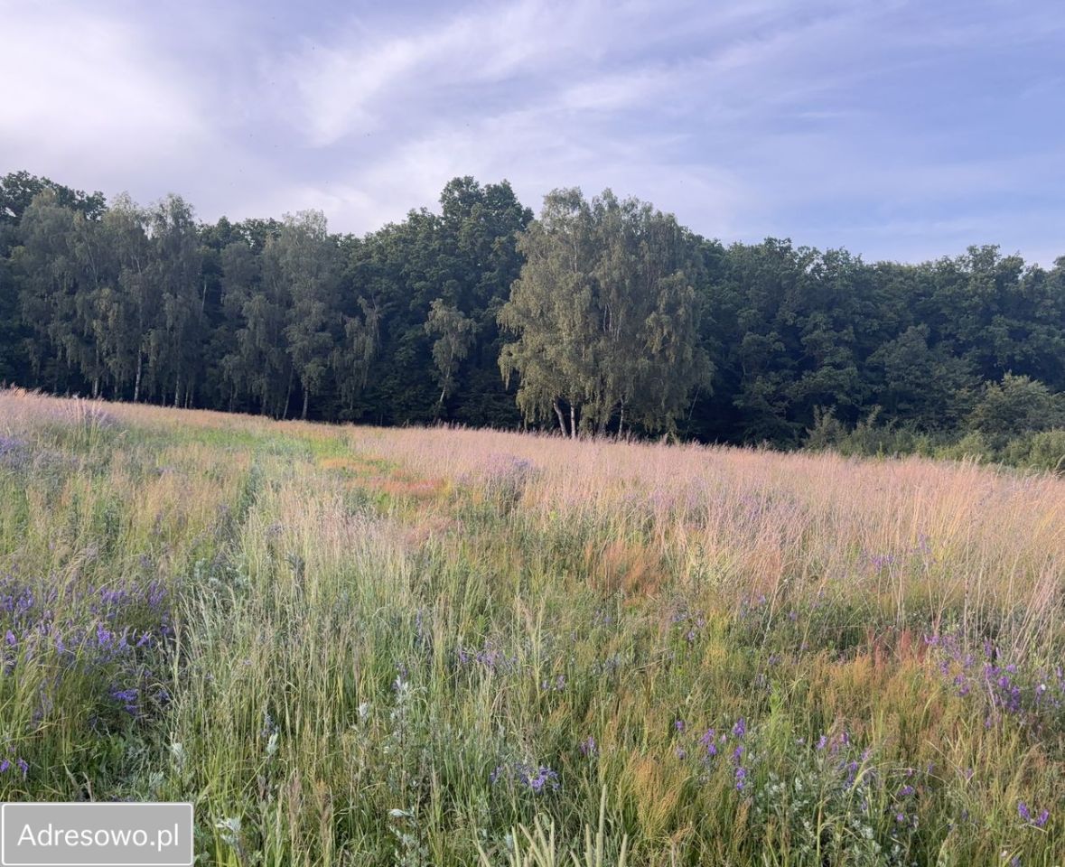 Działka rolno-budowlana Radziwiłłów. Zdjęcie 12