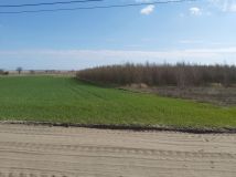 Działka budowlana Wysoka. Zdjęcie 4