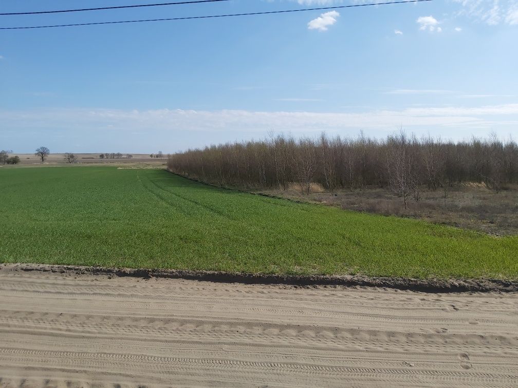 Działka budowlana Wysoka. Zdjęcie 5