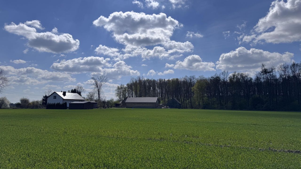 Działka budowlana Baboszewo, ul. Glinojecka. Zdjęcie 2