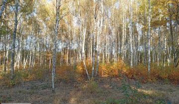 Działka budowlana Czyżeminek