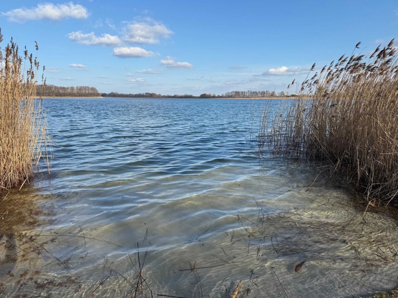Działka rekreacyjna Wiekowo. Zdjęcie 3