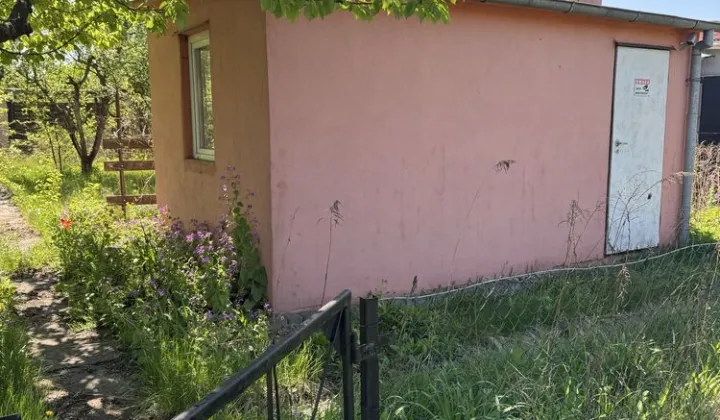 Działka rod Konin, ul. Świętojańska