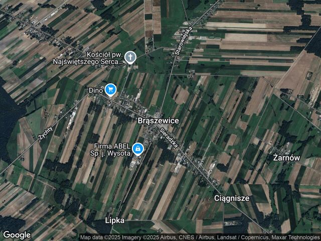 Działka leśna Brąszewice. Zdjęcie 1