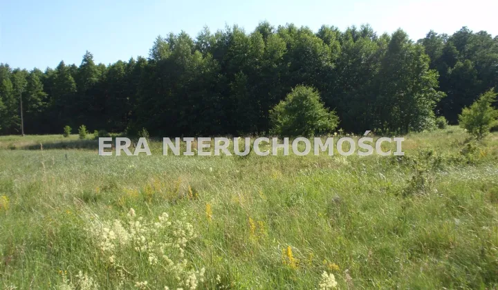 Działka rolna Karakule