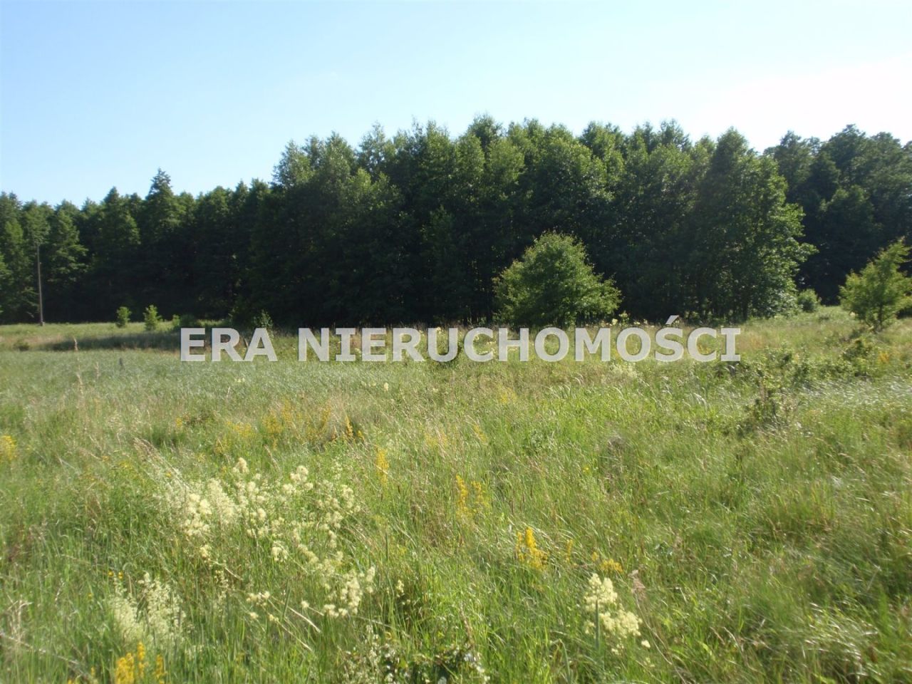 Działka rolna Karakule