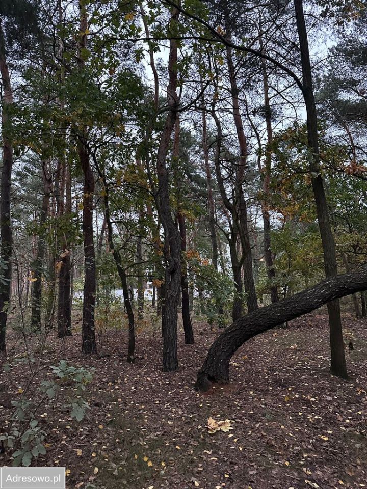 Działka inwestycyjna Marki, ul. Hetmańska. Zdjęcie 5