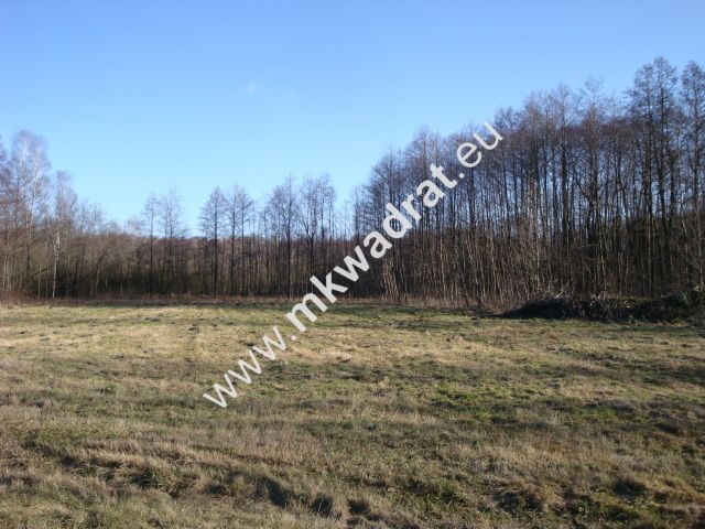 Działka budowlana Słubica B. Zdjęcie 6