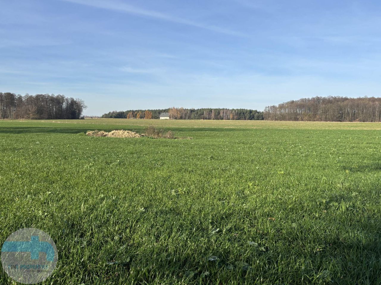 Działka siedliskowa Jaskółowo. Zdjęcie 5