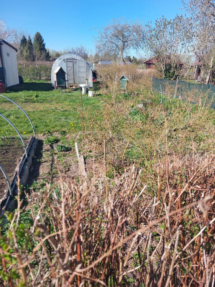 Działka rod Słupsk, ul. Gdańska. Zdjęcie 20