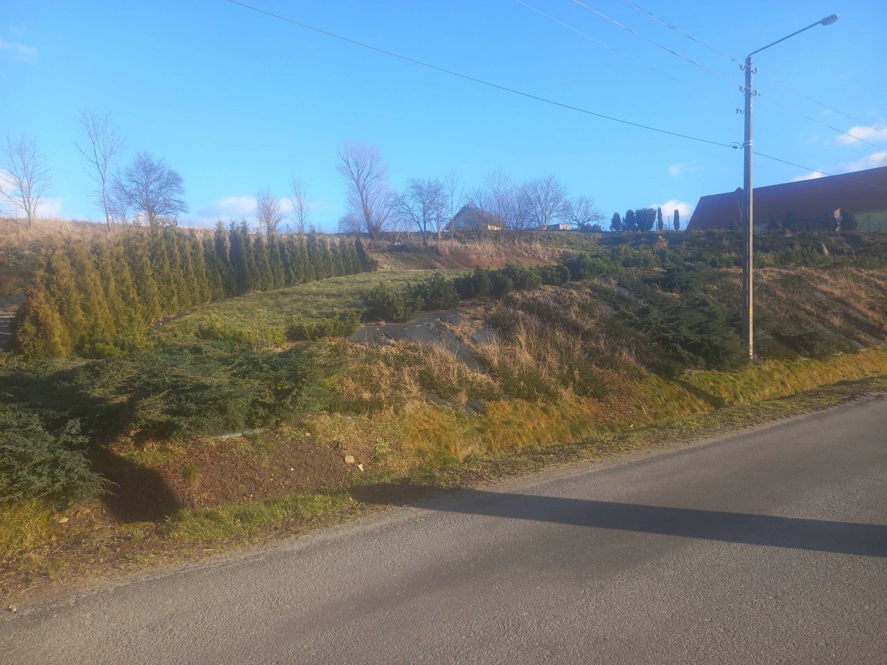 Działka budowlana Wojbórz. Zdjęcie 7