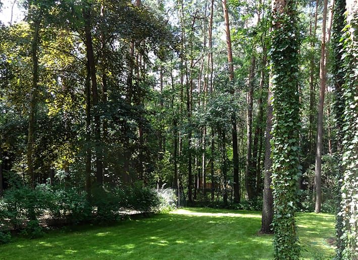 Działka budowlana Sokolniki-Las, ul. Adama Mickiewicza. Zdjęcie 14