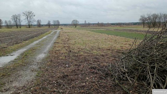 Działka budowlana Aleksandrów Aleksandrów Trzeci. Zdjęcie 1