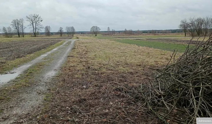 Działka budowlana Aleksandrów Aleksandrów Trzeci